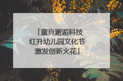 童真邂逅科技 红升幼儿园文化节激发创新火花