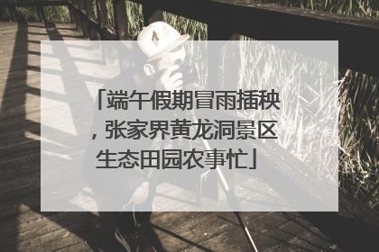 端午假期冒雨插秧，张家界黄龙洞景区生态田园农事忙