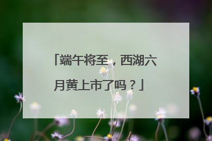 端午将至，西湖六月黄上市了吗？