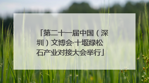 第二十一届中国（深圳）文博会·十堰绿松石产业对接大会举行