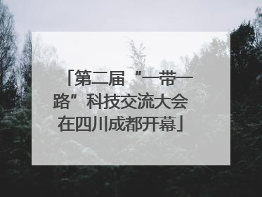 第二届“一带一路”科技交流大会在四川成都开幕