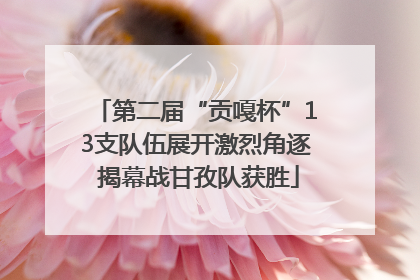 第二届“贡嘎杯”13支队伍展开激烈角逐 揭幕战甘孜队获胜