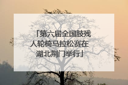 第六届全国肢残人轮椅马拉松赛在湖北荆门举行