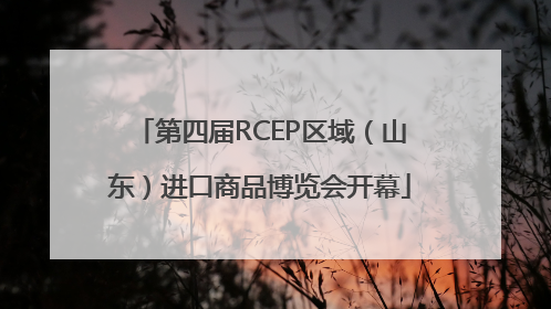 第四届RCEP区域（山东）进口商品博览会开幕