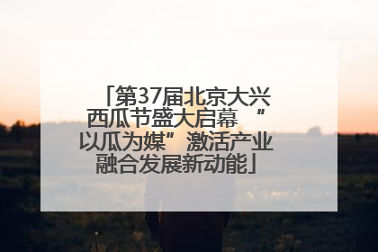第37届北京大兴西瓜节盛大启幕 “以瓜为媒”激活产业融合发展新动能