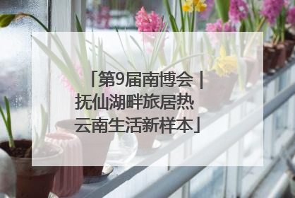 第9届南博会｜抚仙湖畔旅居热 云南生活新样本