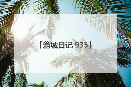 翁城日记 935