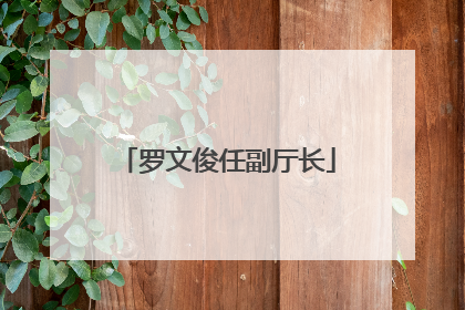 罗文俊任副厅长