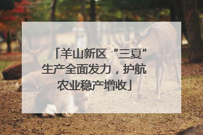 羊山新区“三夏”生产全面发力，护航农业稳产增收
