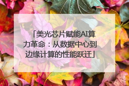 美光芯片赋能AI算力革命：从数据中心到边缘计算的性能跃迁