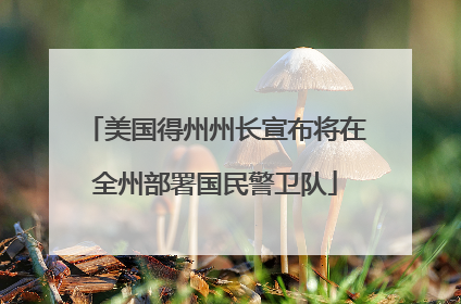美国得州州长宣布将在全州部署国民警卫队
