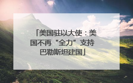 美国驻以大使：美国不再“全力”支持巴勒斯坦建国