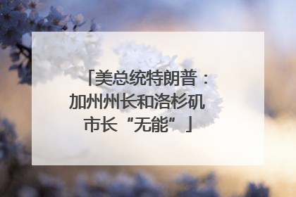 美总统特朗普：加州州长和洛杉矶市长“无能”