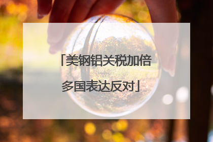 美钢铝关税加倍 多国表达反对