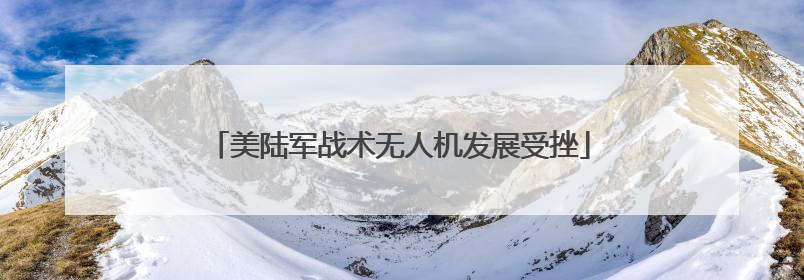 美陆军战术无人机发展受挫