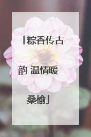 粽香传古韵 温情暖桑榆