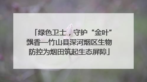 绿色卫士，守护“金叶”飘香—竹山县深河烟区生物防控为烟田筑起生态屏障