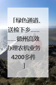 绿色通道、送检下乡…………德州高效办理农机业务4200多件