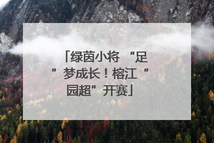 绿茵小将 “足”梦成长！榕江“园超”开赛