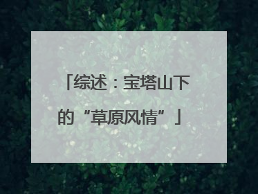 综述：宝塔山下的“草原风情”