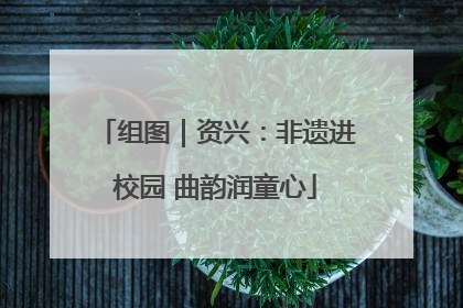 组图｜资兴：非遗进校园 曲韵润童心