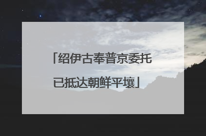 绍伊古奉普京委托已抵达朝鲜平壤