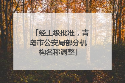 经上级批准，青岛市公安局部分机构名称调整