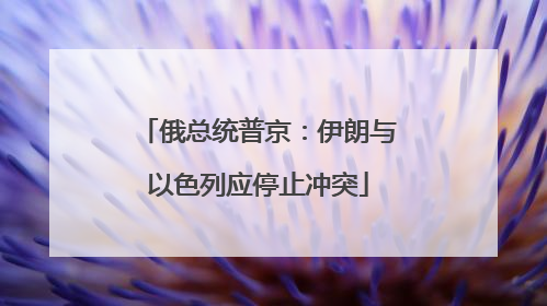俄总统普京：伊朗与以色列应停止冲突