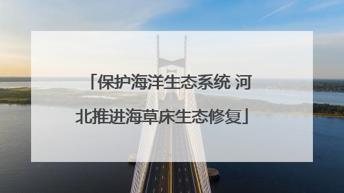 保护海洋生态系统 河北推进海草床生态修复