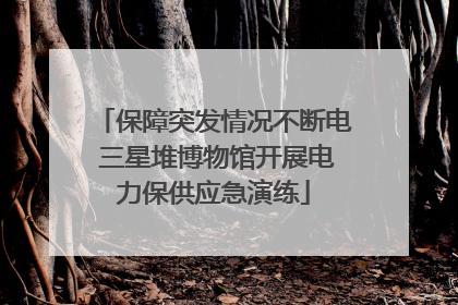 保障突发情况不断电 三星堆博物馆开展电力保供应急演练