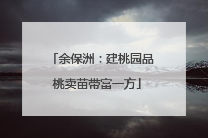 余保洲：建桃园品桃卖苗带富一方