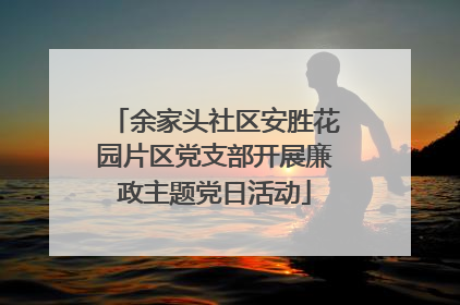 余家头社区安胜花园片区党支部开展廉政主题党日活动