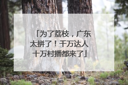 为了荔枝，广东太拼了！千万达人十万村播都来了
