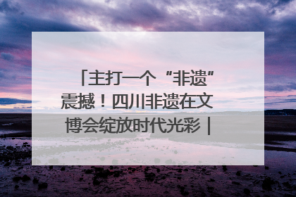 主打一个“非遗”震撼！四川非遗在文博会绽放时代光彩｜文博向“新”