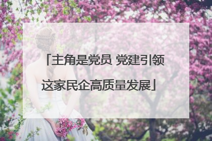 主角是党员 党建引领这家民企高质量发展