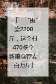 一“囤”盛2200斤，这个村470多个新粮仓存麦百万斤