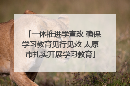 一体推进学查改 确保学习教育见行见效 太原市扎实开展学习教育