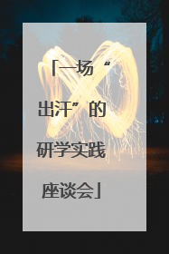 一场“出汗”的研学实践座谈会