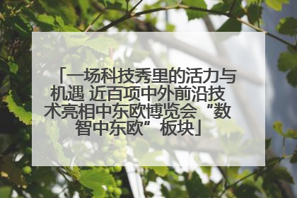 一场科技秀里的活力与机遇 近百项中外前沿技术亮相中东欧博览会“数智中东欧”板块