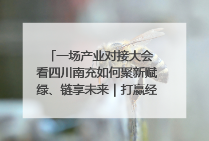 一场产业对接大会 看四川南充如何聚新赋绿、链享未来｜打赢经济发展翻身仗