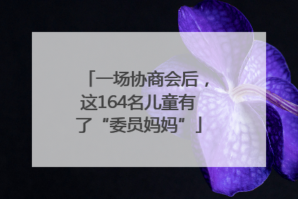 一场协商会后，这164名儿童有了“委员妈妈”