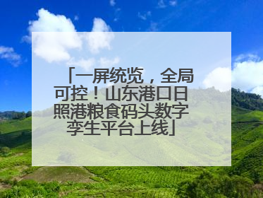 一屏统览，全局可控！山东港口日照港粮食码头数字孪生平台上线