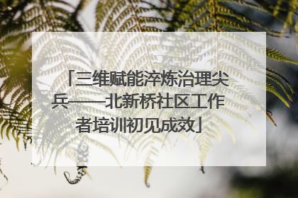 三维赋能淬炼治理尖兵——北新桥社区工作者培训初见成效