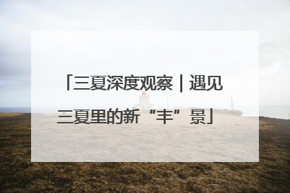 三夏深度观察｜遇见三夏里的新“丰”景