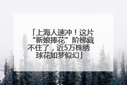 上海人速冲！这片“新娘捧花”阶梯藏不住了，近5万株绣球花如梦似幻