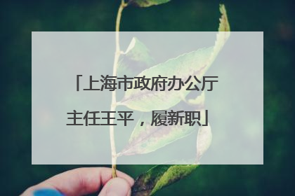 上海市政府办公厅主任王平，履新职