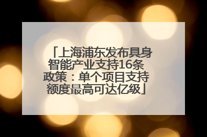 上海浦东发布具身智能产业支持16条政策：单个项目支持额度最高可达亿级
