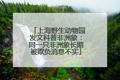 上海野生动物园发文科普非洲象：同一只非洲象长期被欺负消息不实