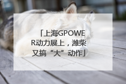 上海GPOWER动力展上，潍柴又搞“大”动作