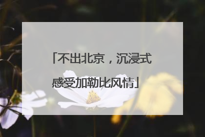 不出北京，沉浸式感受加勒比风情